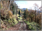 foto Da Rocca di Arsie al Col di Baio